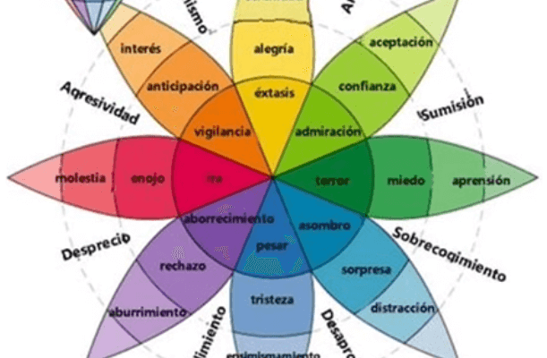 The 8 Basic Emotions According to Plutchik’s Wheel | ::: Chantal MAILLE ...